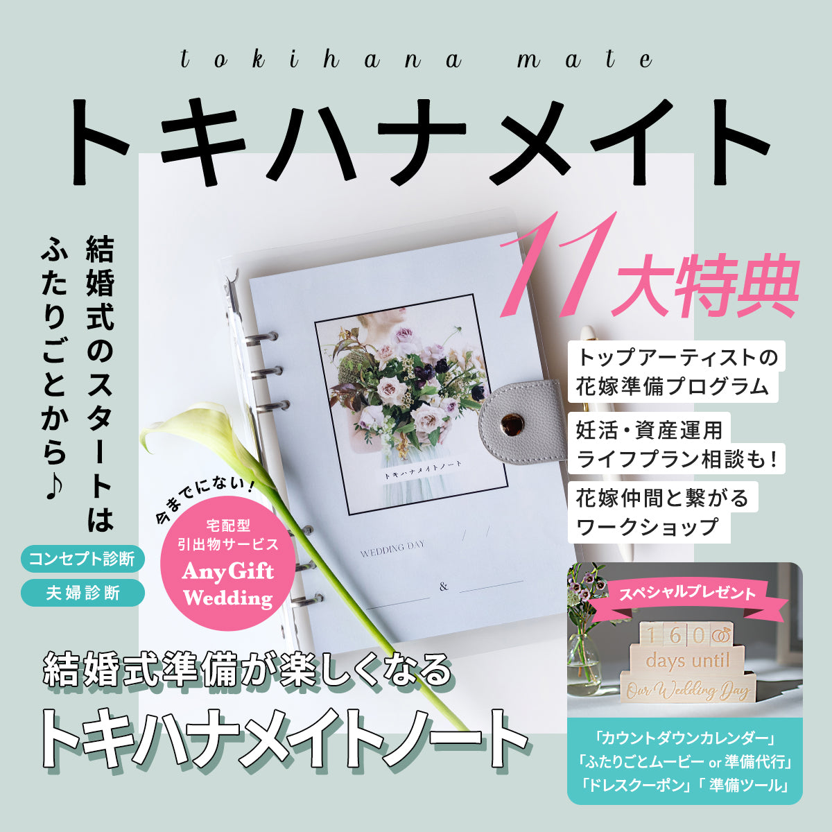 トキハナメイト有料登録(トキハナ非成約者様向け)